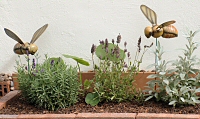 Bienenbeet vorm Honighaus